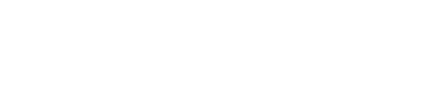 Elektronic Group